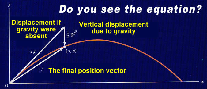 Assessment Two-Dimensional Motion and Vectors